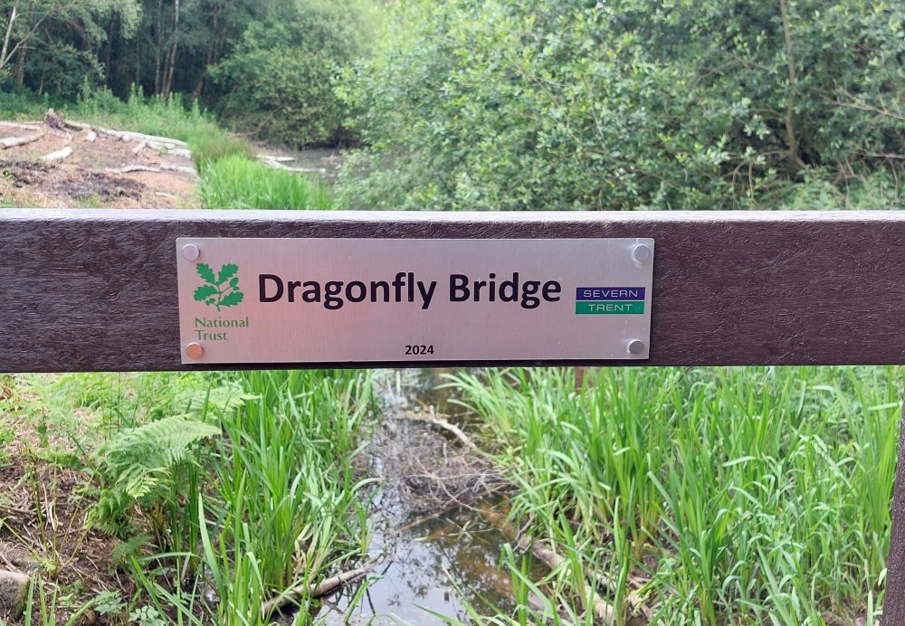 Recycled plastic foot bridge supplied by Bison Bridges